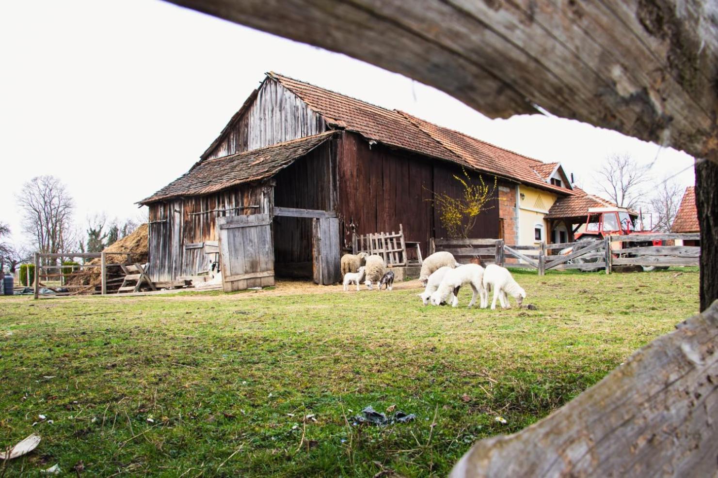 Molve Country House Ivancan المظهر الخارجي الصورة