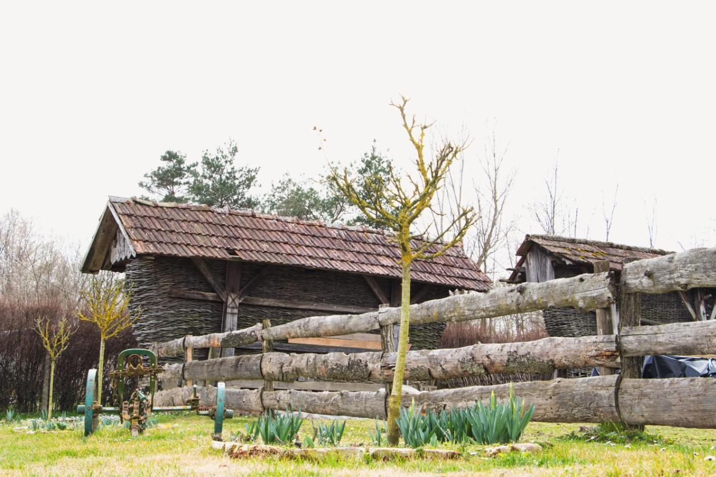 Molve Country House Ivancan المظهر الخارجي الصورة
