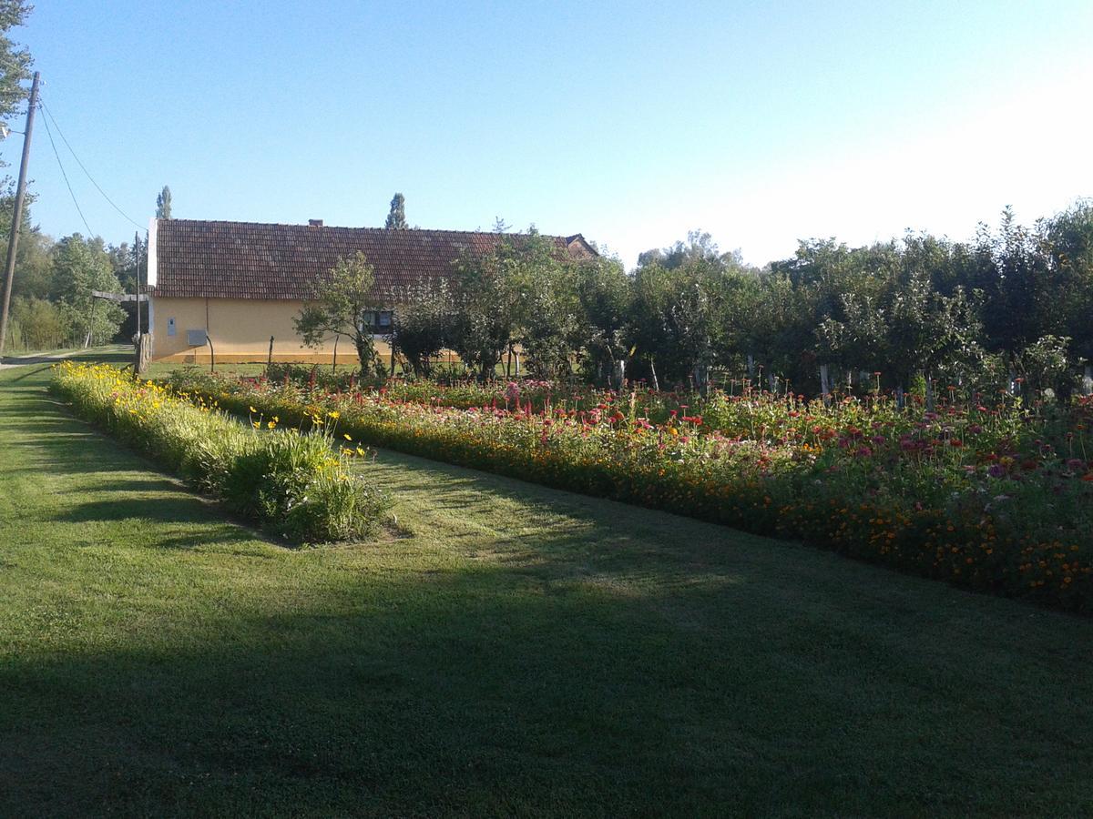 Molve Country House Ivancan المظهر الخارجي الصورة