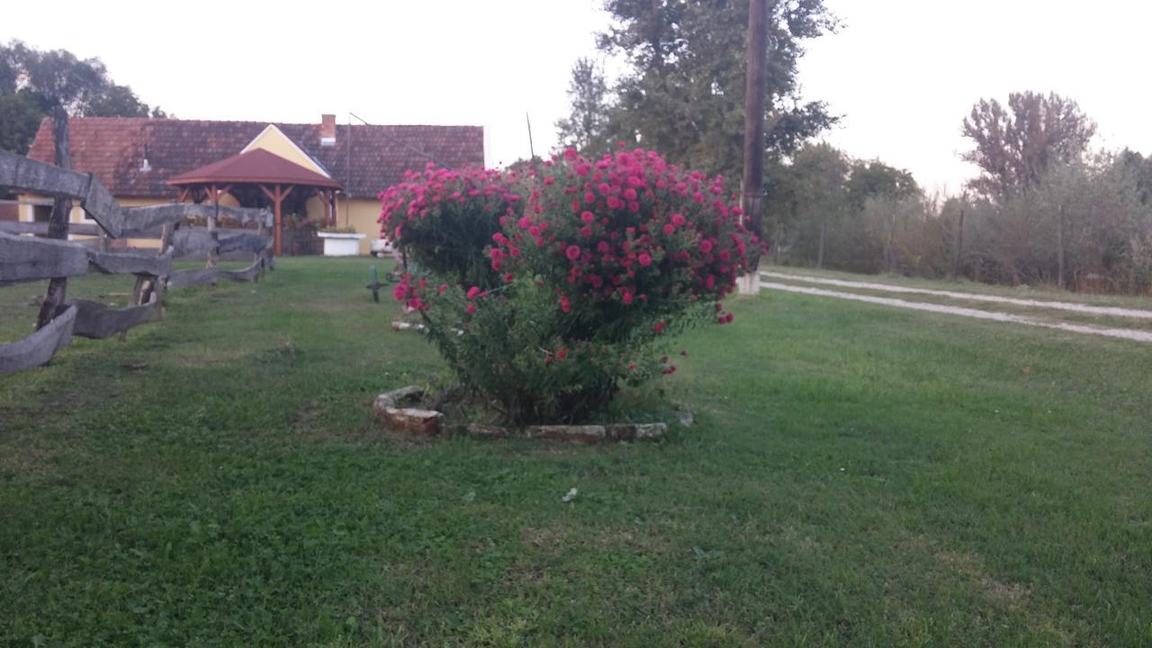 Molve Country House Ivancan المظهر الخارجي الصورة